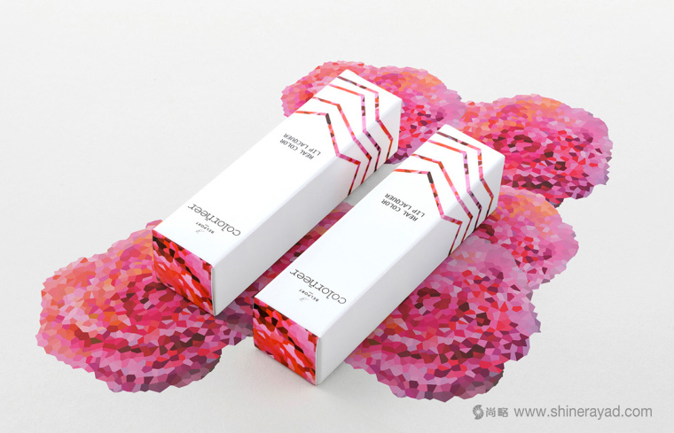 Colorneer 彩妆品牌玫瑰花瓣化妆品包装设计规范-上海包装设计公司设计欣赏1