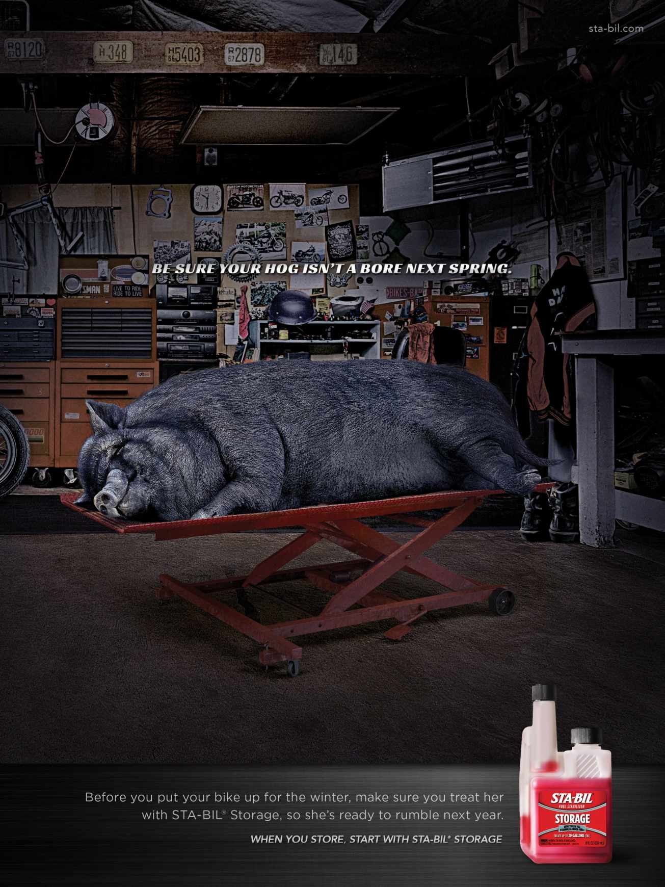 汽车用品广告——Sta-Bil汽油稳定剂汽车用品平面广告创意设计-猪篇