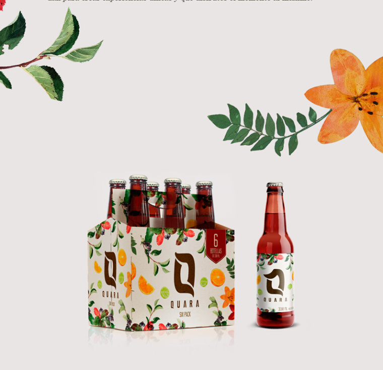 Quara 啤酒瓶装含酒精果味饮料包装设计-上海饮料包装设计公司3