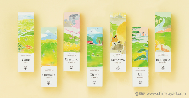 日本Saudade Tea 淡雅水彩插画有机茶叶品牌包装设计1