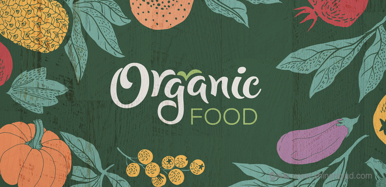 二维插画风格 Organic Food 有机食品蔬菜水果包装设计-上海农产品包装设计公司1