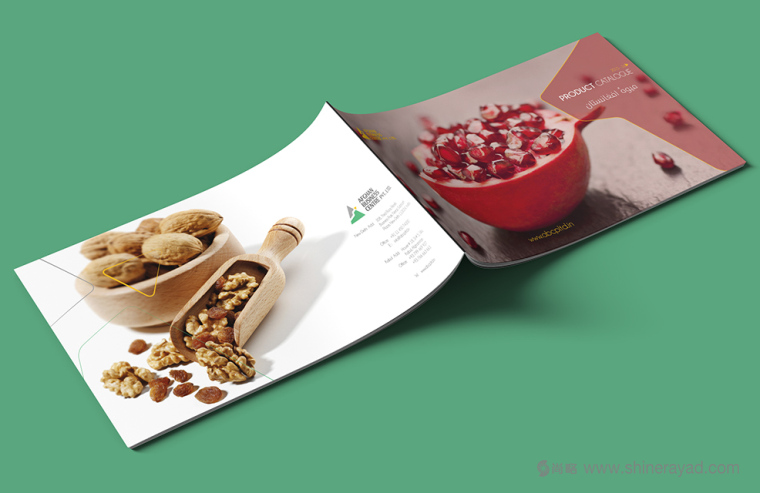 上海画册设计公司设计欣赏-高大上水果干果农产品品牌宣传画册设计9