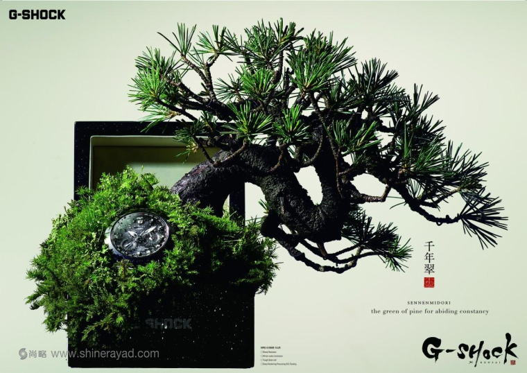 G-shock 手表“松树长青”盆景篇平面广告创意设计-上海设计公司