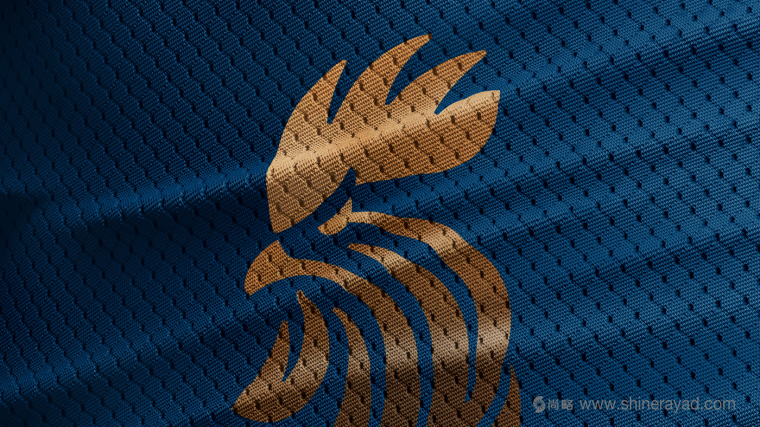 皇家马球俱乐部图腾公鸡logo设计-上海logo设计公司设计收藏1