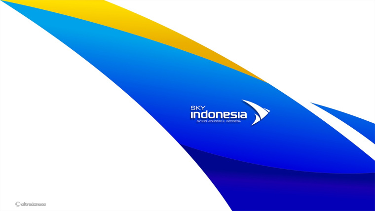 sky indonesia航空公司logo设计:代表印尼航空安全\精准\效率文化