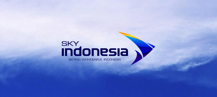 SKY INDONESIA航空公司logo设计：代表安全\精准\效率文化\友好的箭鸟logo设计
