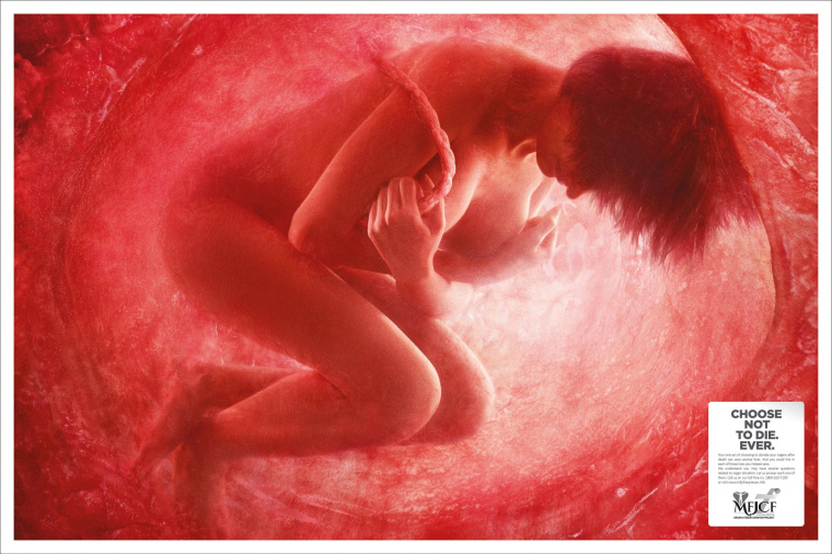 捐献器官公益广告：印度“在子宫里的人”平面广告创意赏析-成年女性篇