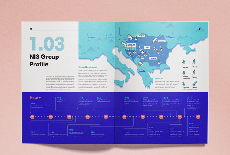 NIS企业年度报告画册设计-完美的信息图表设计与配色设计-上海画册设计公司
