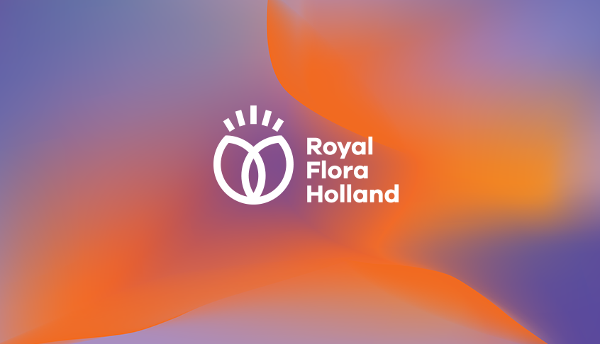 Royal Flora Holland 鲜花花卉种植合作社品牌logo设计-上海logo设计公司
