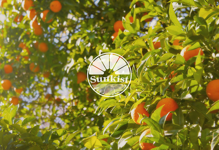 Sunkist 水果品牌logo设计-上海logo设计