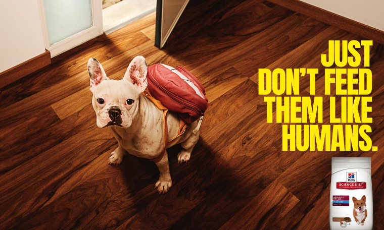 Hill‘s宠物食品拟人化平面创意广告设计“不要像人类一样喂养它们”