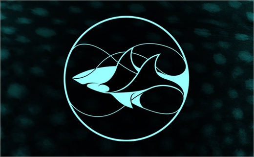 LDF鲨鱼动物保护基金会标志设计