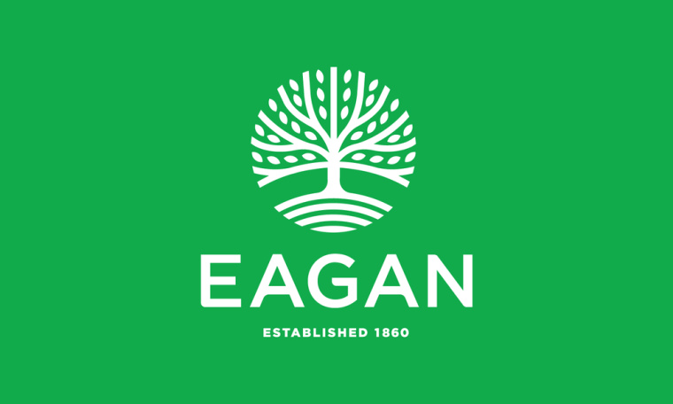 伊根市城市品牌形象重塑设计logo设计vi设计抽象绿色大树图形