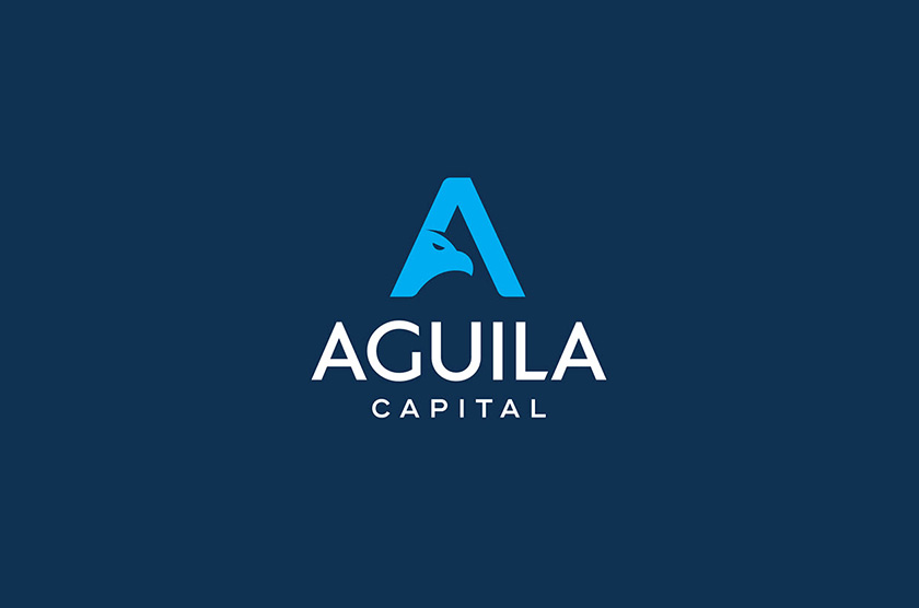 aguila capital 巴西对冲基金logo设计"字母a 鸟"与品牌视觉形象设计