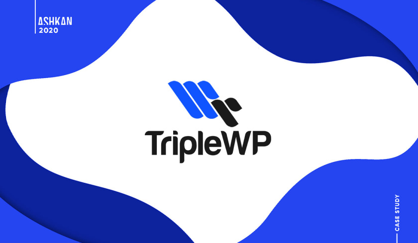 TripleWP wordpress模板网站科技公司logo设计与vi设计，科技蓝色风格