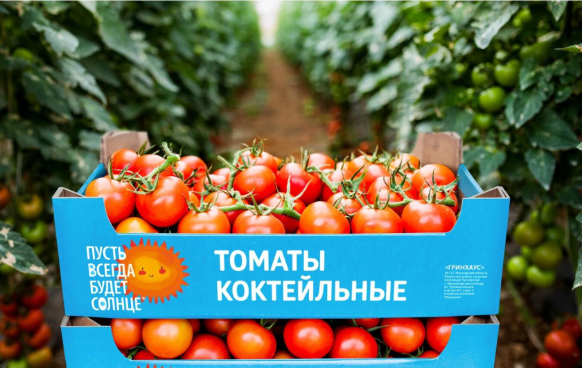 “永远的阳光”西红柿小番茄农产品品牌创建策划设计-logo包装设计