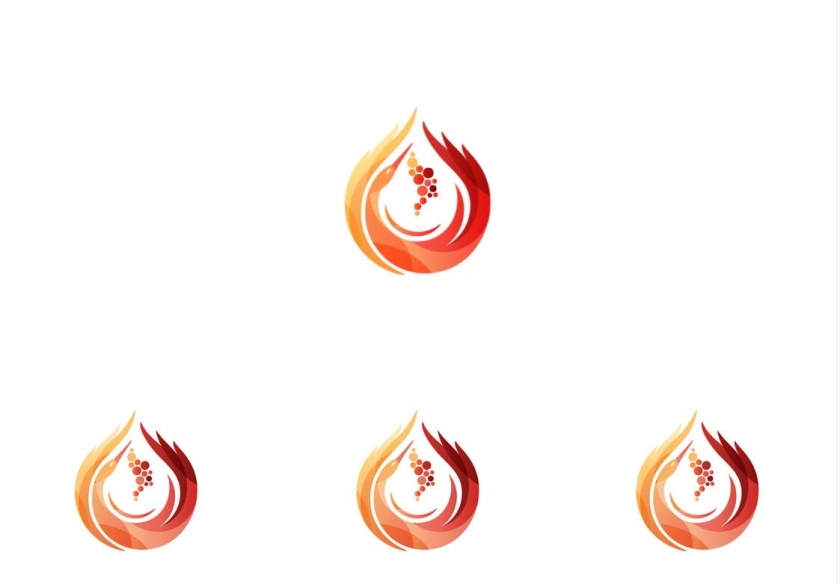 摩尔多瓦酿酒师协会logo设计“地图+酒滴+葡萄+白鹳展翅+火”