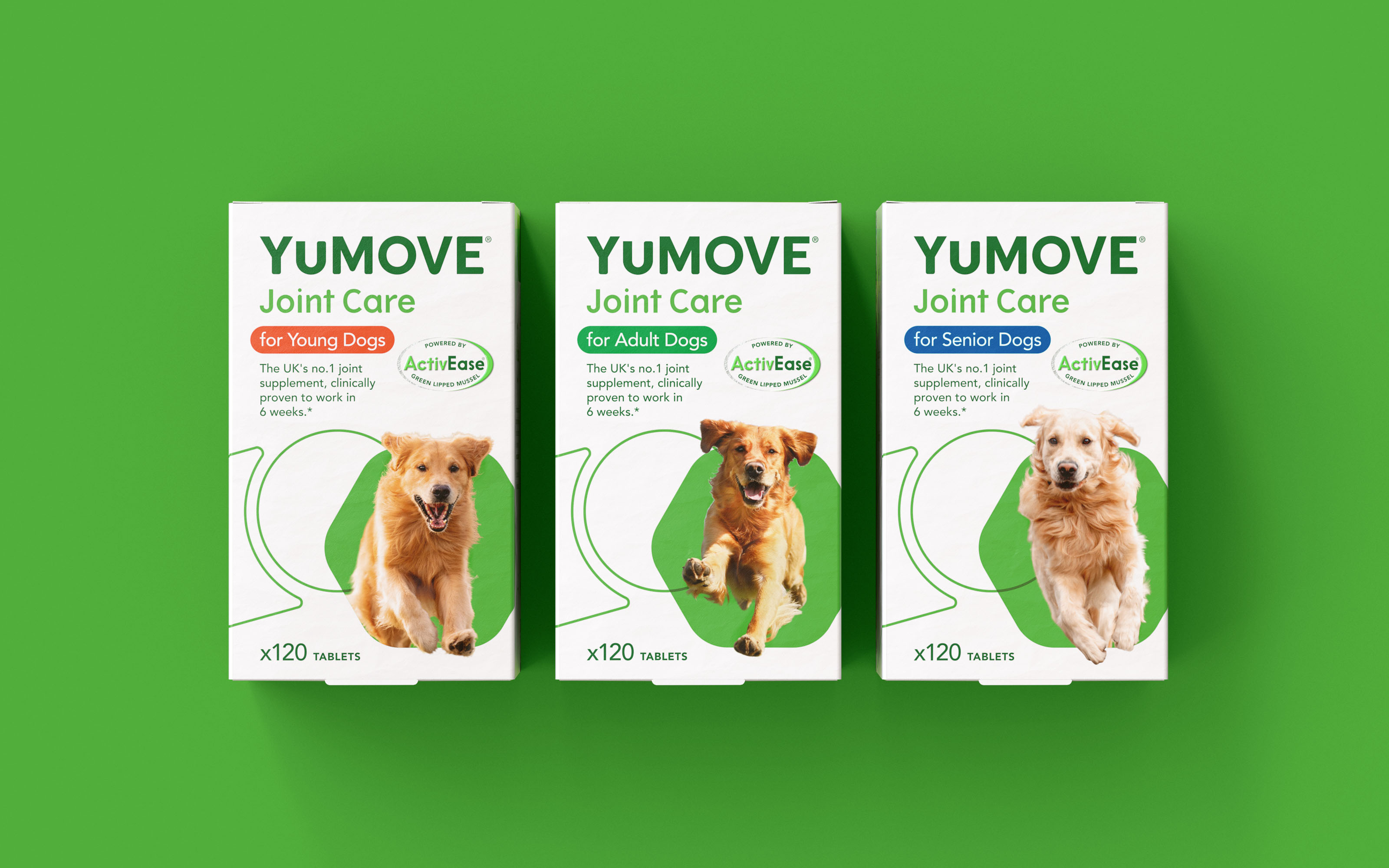 YuMOVE宠物护理品牌战略策划与系列产品包装形象更新设计‘色块+线条“