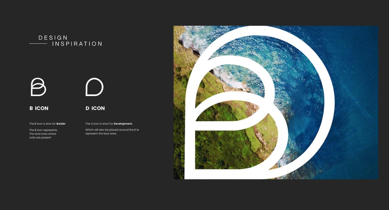 Buisier 别墅地产项目logo设计vi形象设计，B+D字母