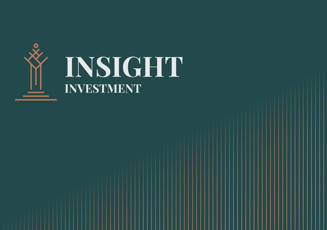 Insight 金融投资公司logo设计vis设计，基石与增长线条元素