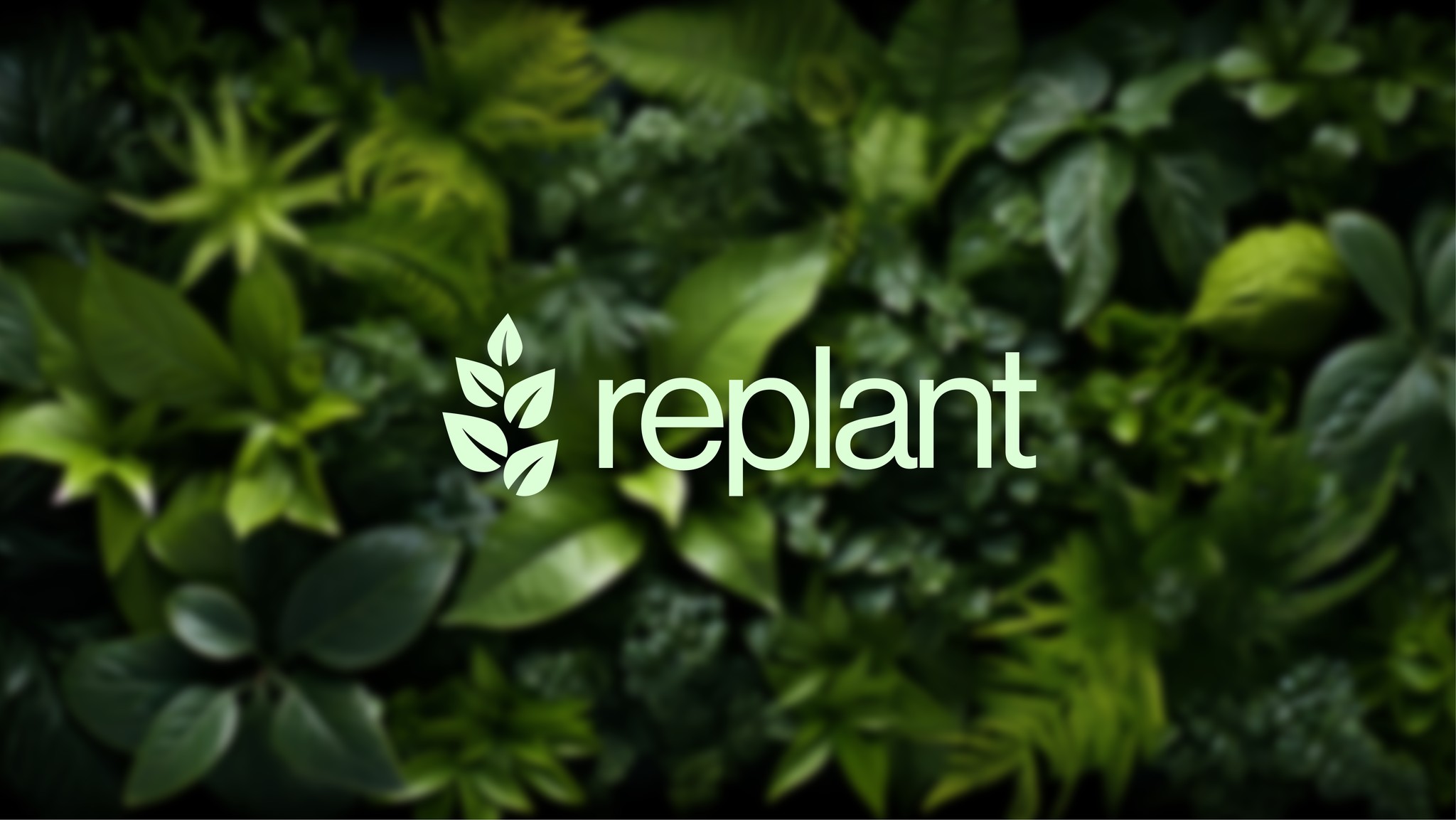 Replant 有机再生农业技术品牌形象logo设计vi设计“自然叶子”